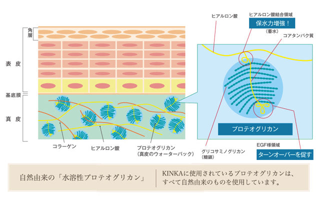 【箔一】 金華ゴールド ナノローション N (180ml) | 金箔入り 化粧水 保湿 ハリ ツヤ 潤い 乾燥肌対策 金沢金箔 箔一 KINKA 日本製 正規代理店