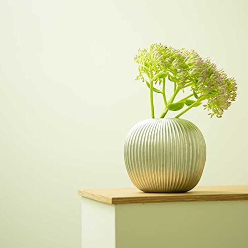 [Wrapped with Japanese paper] Flower vase - suzu - apple